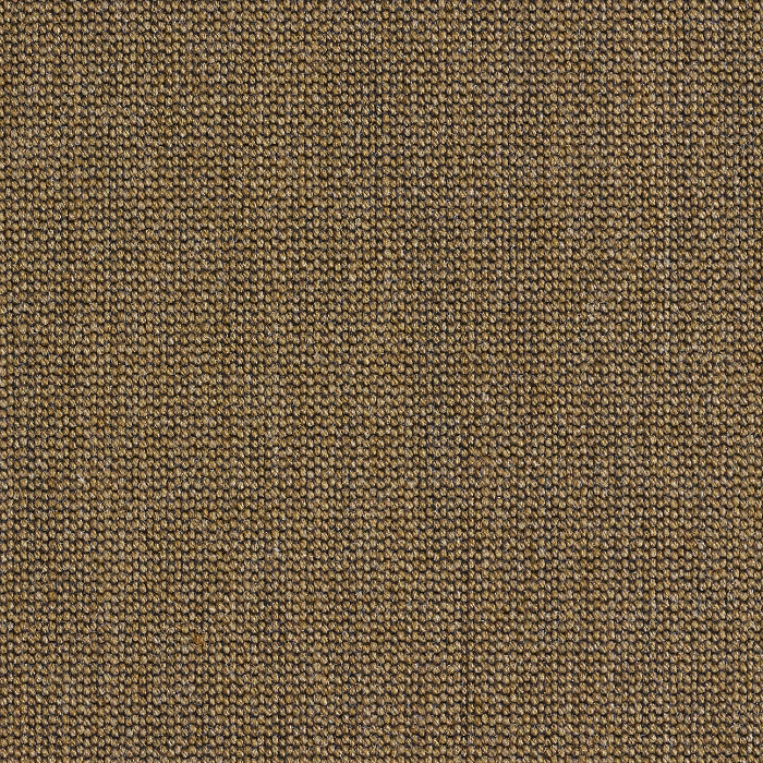 téléchargé (8).png